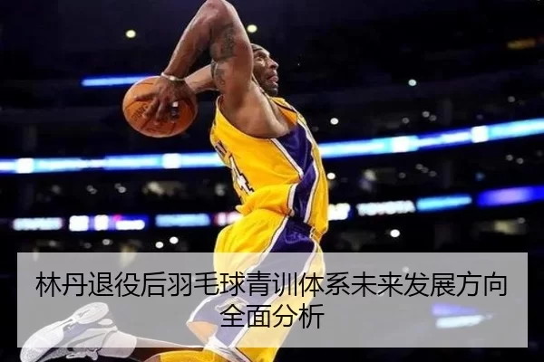林丹退役后羽毛球青训体系未来发展方向全面分析
