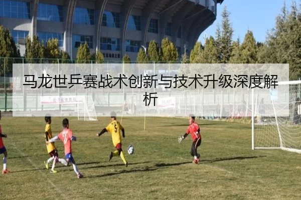 马龙世乒赛战术创新与技术升级深度解析