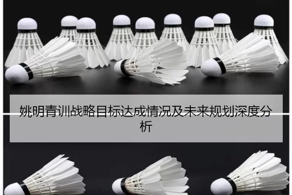 姚明青训战略目标达成情况及未来规划深度分析