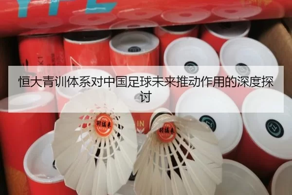 恒大青训体系对中国足球未来推动作用的深度探讨