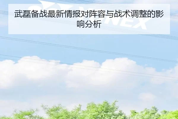 武磊备战最新情报对阵容与战术调整的影响分析